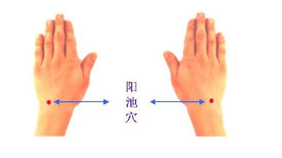 穴位养生阳池穴,养生还阳术口诀