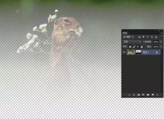 如何用ps蒙版功能练线条,如何用ps蒙版抠图