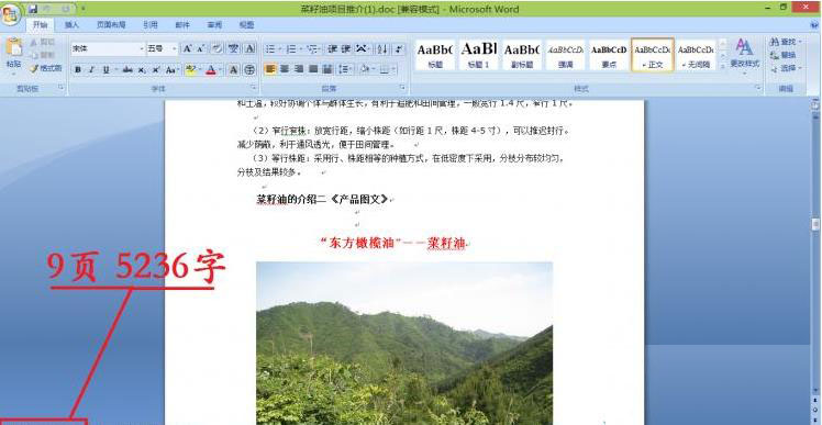 word乱码字符怎么恢复,word文件wps打开乱码如何解决