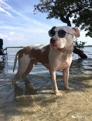 男朋友吃前任的醋生气了怎么哄,惹男朋友生气了怎么哄高情商句子