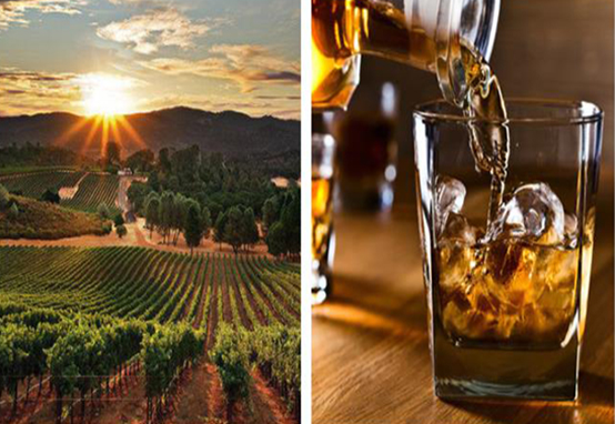 金奖白兰地有什么功效,白兰地对身体的保健作用