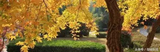 在海大，我不后悔