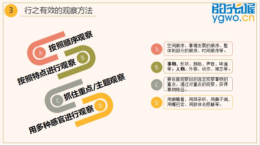 童眼观世界书籍全套,提升孩子视察力的兴趣课