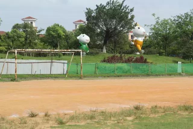 城事｜新公园要来了！打造市桥河“一河两岸”生态景观！为番禺街坊增加散步、运动好去处！