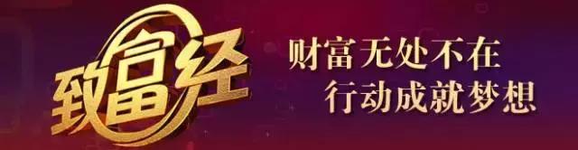 凤娃创始人余红梅,凤娃古寨余红梅个人档案