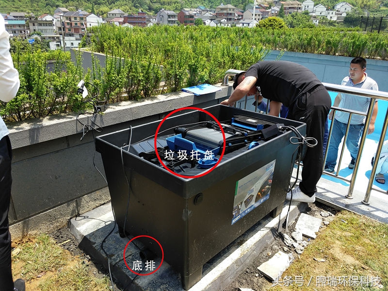 锦鲤鱼池生态循环过滤,锦鲤鱼池过滤系统视频