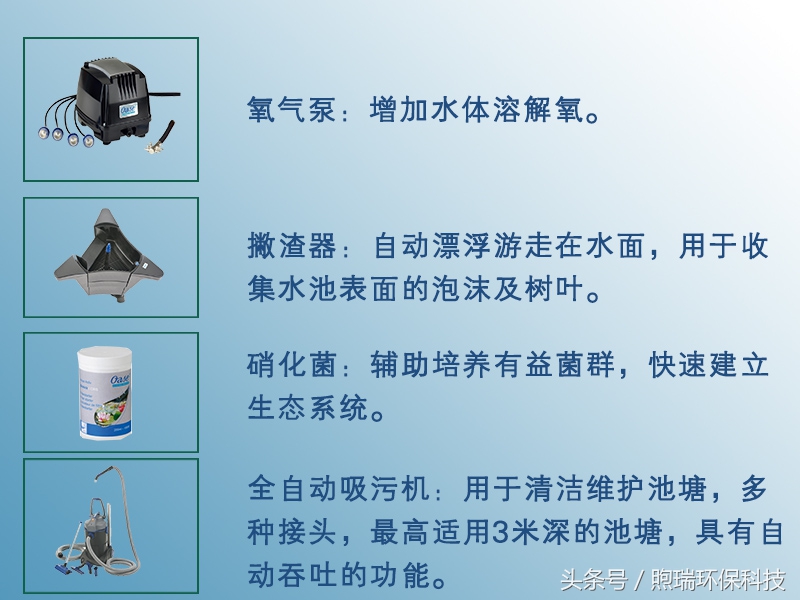 锦鲤鱼池生态循环过滤,锦鲤鱼池过滤系统视频