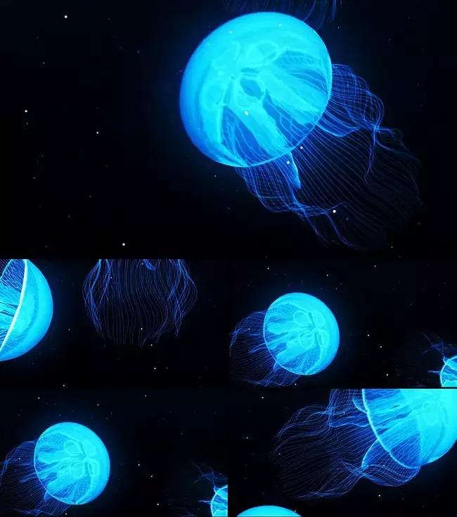 海有夜游别怪我没提醒你，购买夜票你能看到不一样的精彩！