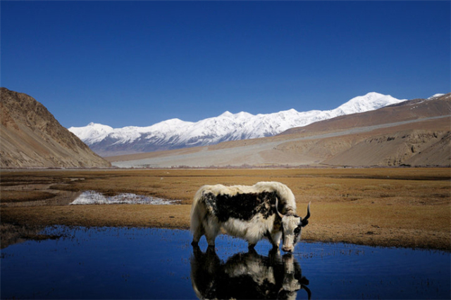 聚焦基层看检察接力克州站第二棒：阿克陶县人民检察院来啦！