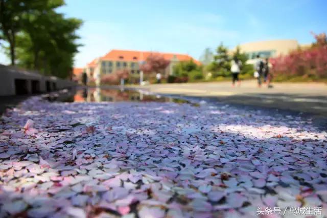 在海大，我不后悔