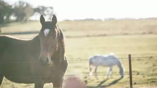 老法师的天堂！从拍照小白到摄影大V，你只差一个悉尼的距离