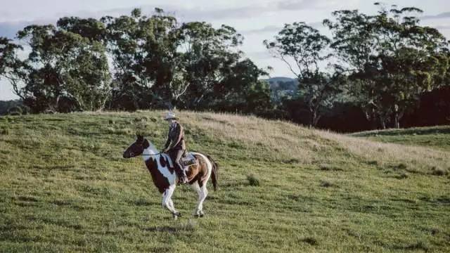 老法师的天堂！从拍照小白到摄影大V，你只差一个悉尼的距离