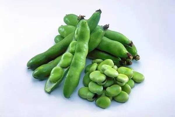 娓呮鏈夊懗,娓呮鏈夊懗鍏ㄦ枃