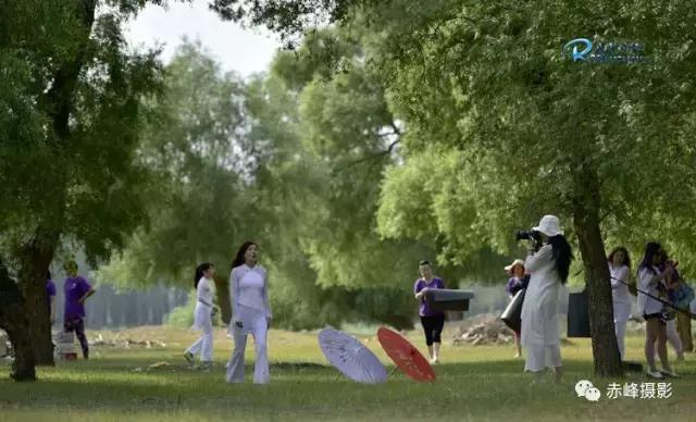 我爱夏日长深度解析,我爱夏日长在线观看