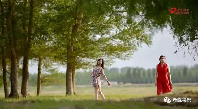 我爱夏日长深度解析,我爱夏日长在线观看