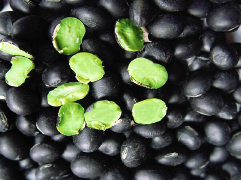 丹东日本豆腐,丹东水豆腐哪家好吃