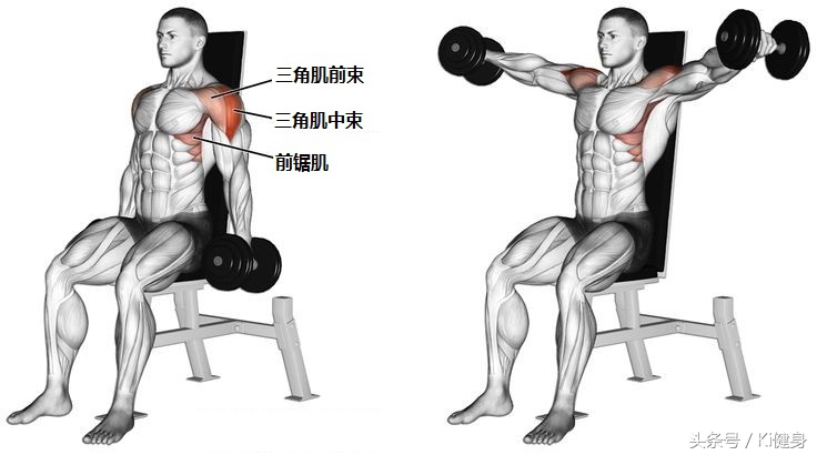 哑铃侧平举怎么避免斜方肌发力,哑铃侧平举最佳方法