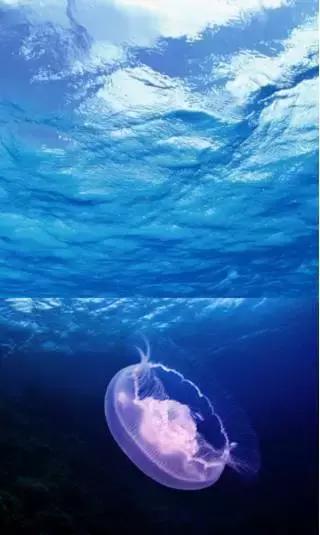 如何用ps蒙版功能练线条,如何用ps蒙版抠图