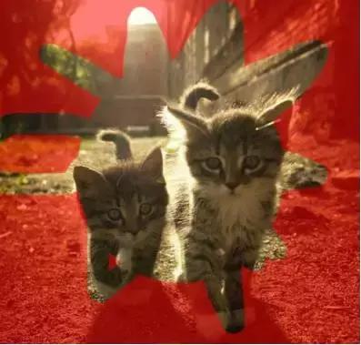 如何用ps蒙版功能练线条,如何用ps蒙版抠图