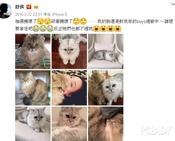 紫外线过敏舒淇,舒淇敏感肌怎么自救