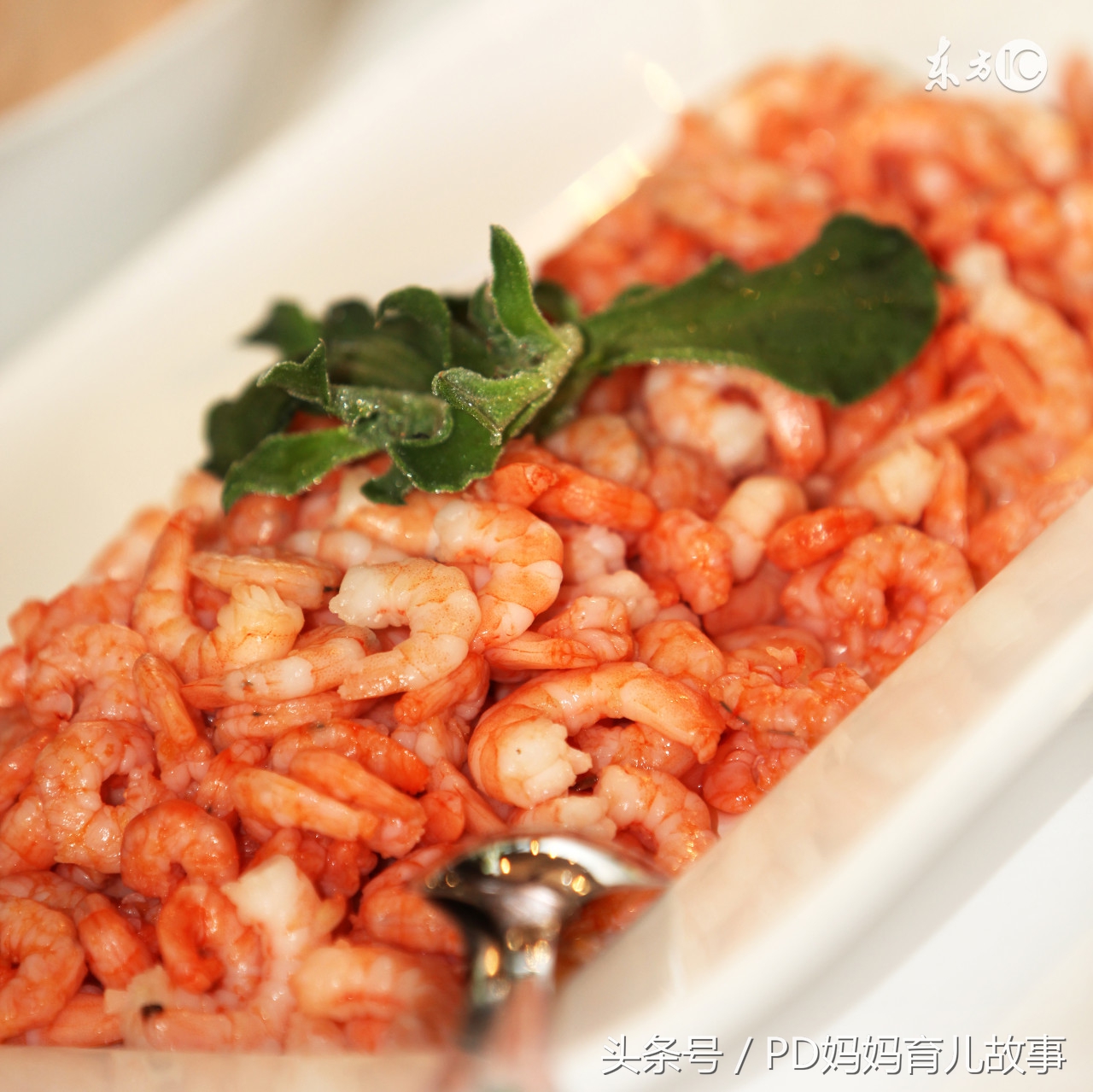 小孩吃虾会吐是什么原因,吃了虾上吐下泻什么原因