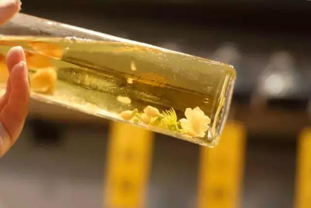 三个长沙文青用一壶桃花酒将冬瓜山的“*欲肉**”酿成一缕清香！