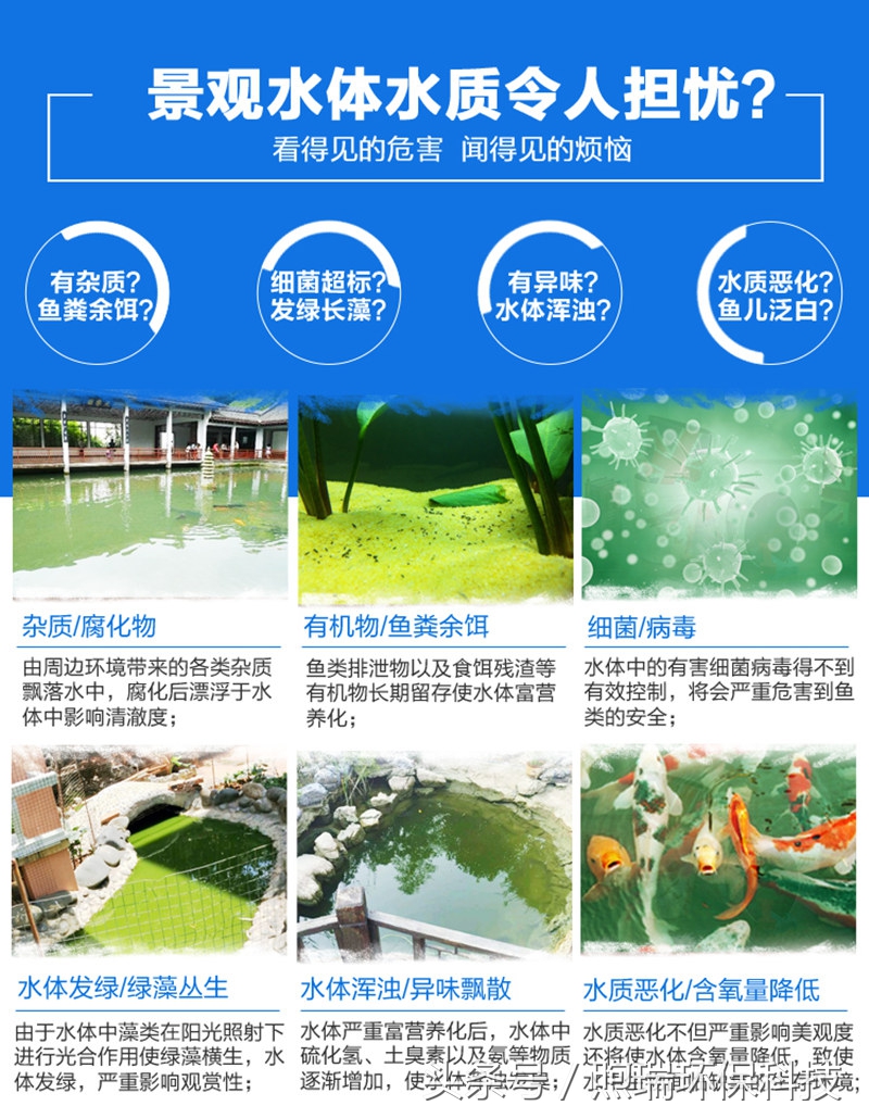 锦鲤鱼池生态循环过滤,锦鲤鱼池过滤系统视频