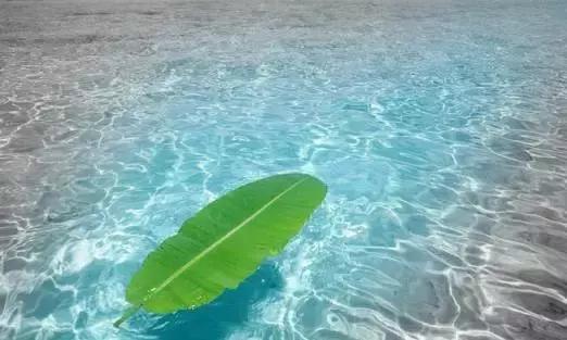 如何用ps蒙版功能练线条,如何用ps蒙版抠图