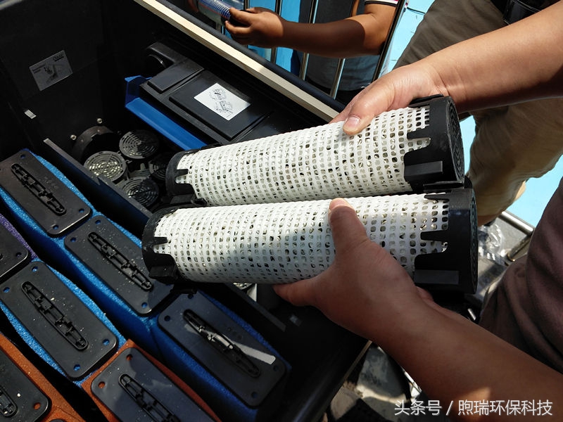 锦鲤鱼池生态循环过滤,锦鲤鱼池过滤系统视频