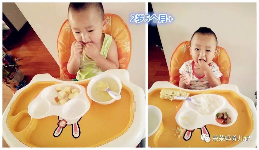 喂一个孩子长大竟然需要用这么多碗？细数各种类型的辅食碗优劣