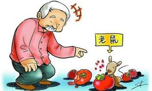 被老鼠屎污染的衣服怎么消毒,老鼠污染过的物品怎样消毒