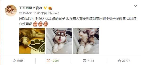 王思聪：你对我的嫉妒，一文不值！