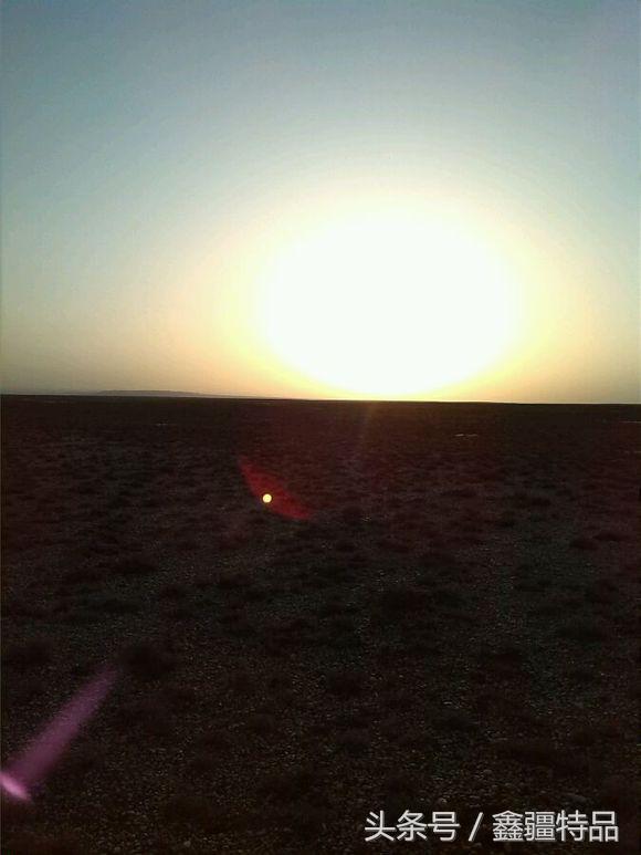 去新疆戈壁滩上捡金丝玉石头视频,宝石光金丝玉戈壁滩