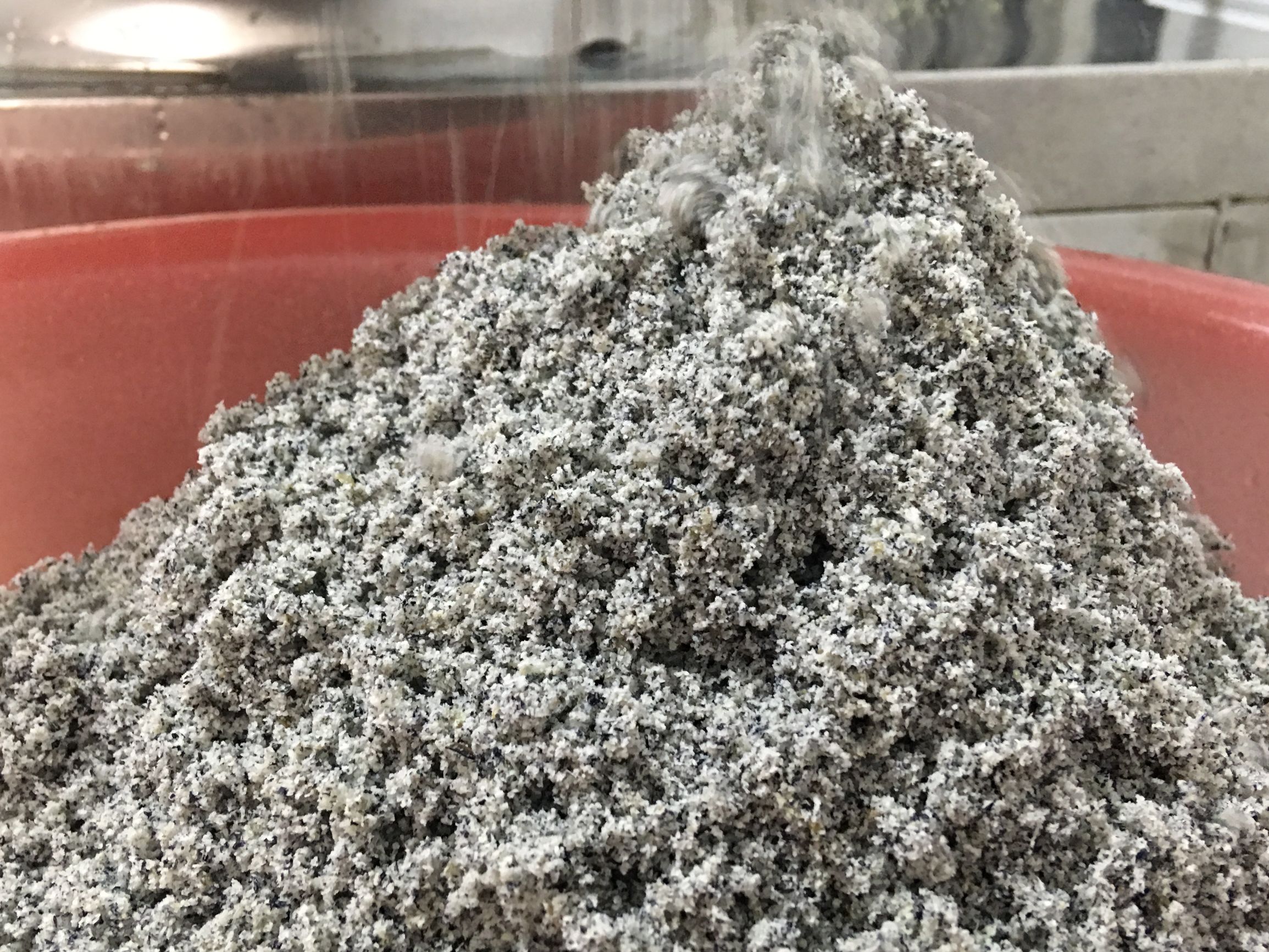 丹东日本豆腐,丹东水豆腐哪家好吃