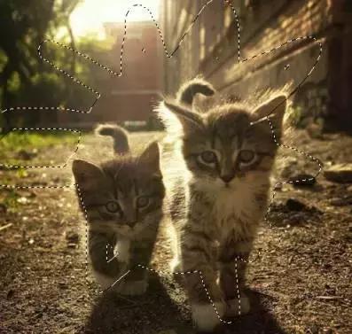 如何用ps蒙版功能练线条,如何用ps蒙版抠图