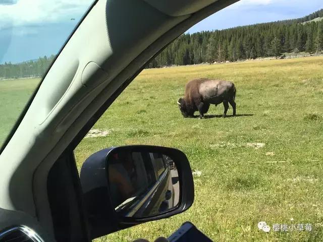 美国租车自由行真实经历,美国自驾游租车关注什么