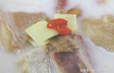 甲鱼的杀法及做法,甲鱼杀法和做法