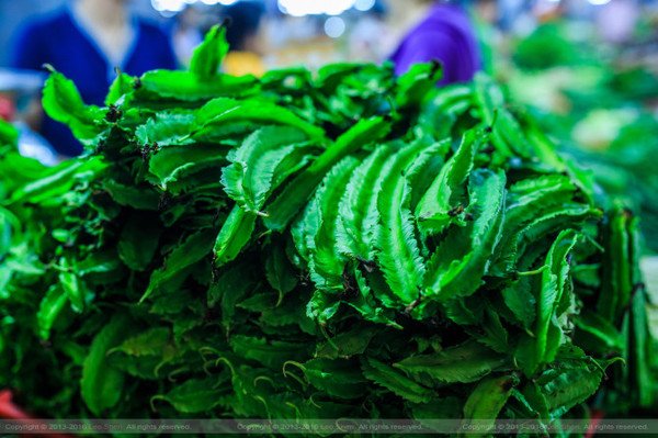 三亚旅游防蚊虫攻略,三亚防宰攻略详细