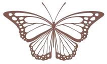 支付宝密码暴露了有事吗,提示支付宝已被其他用户绑定