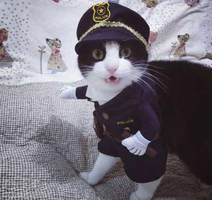 就是这种感觉原版,就是这种感觉什么歌