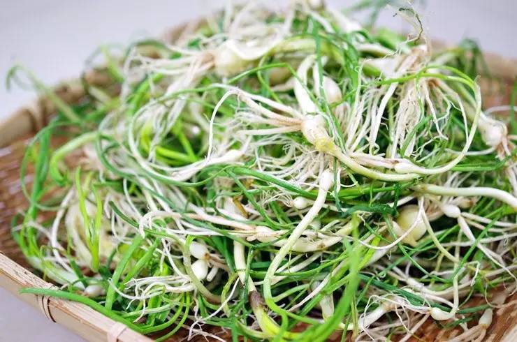 常见野菜吃法做法大全,常见野菜种类吃法