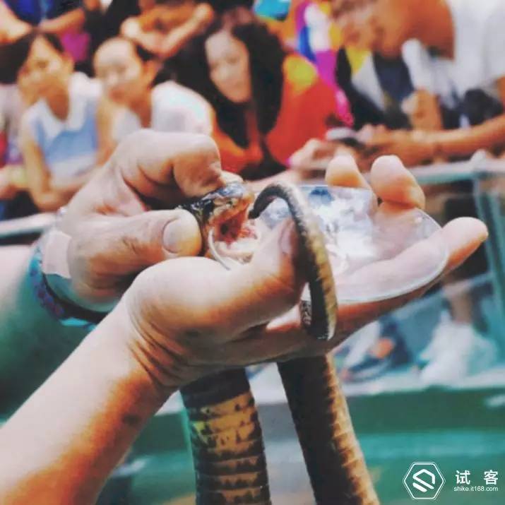 试用报告不错过每一个风景——带着SonyZ5去旅行