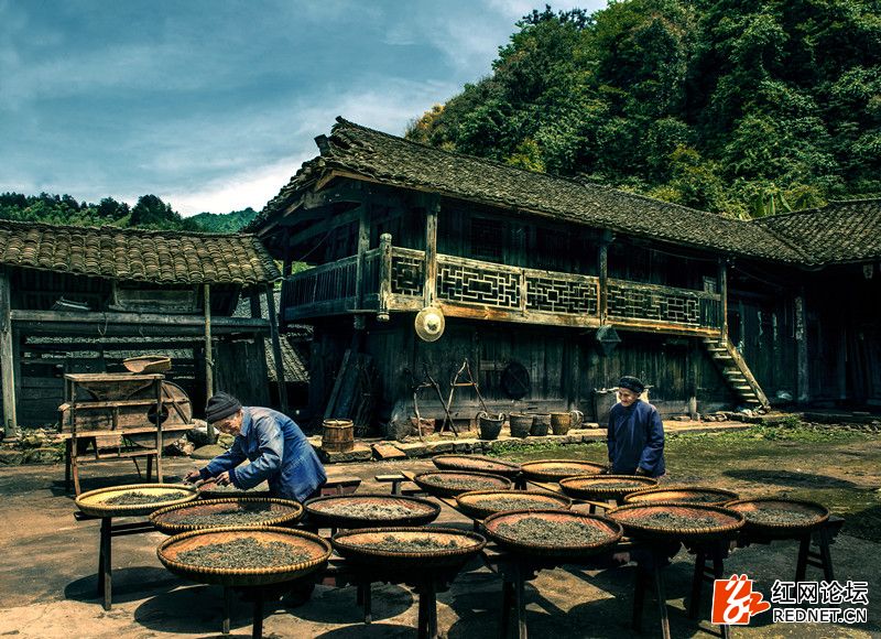 传说中的世外桃源：走进千年土家长寿村