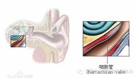 佑安耳鼻喉科怎么样,佑安传播直播