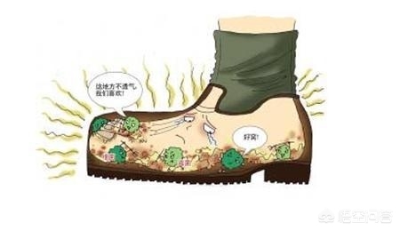 治疗脚气的四种中药材,医院有没有治疗脚气的外用药