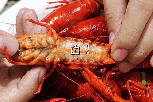 来索菲特啤酒花园，喝点不一样的啤酒SofitelBeerGarden.