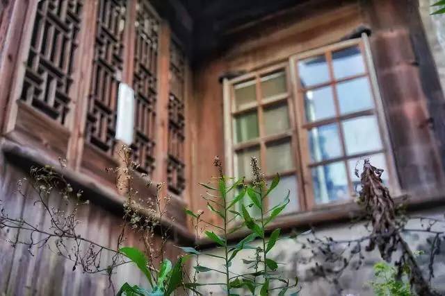 周浦沈庄老街,周浦镇老街还有吗