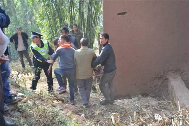 禄丰的父老乡亲们，我们需要您的客观评价！