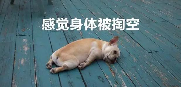 护照brp丢失怎么回英国,英国护照和brp