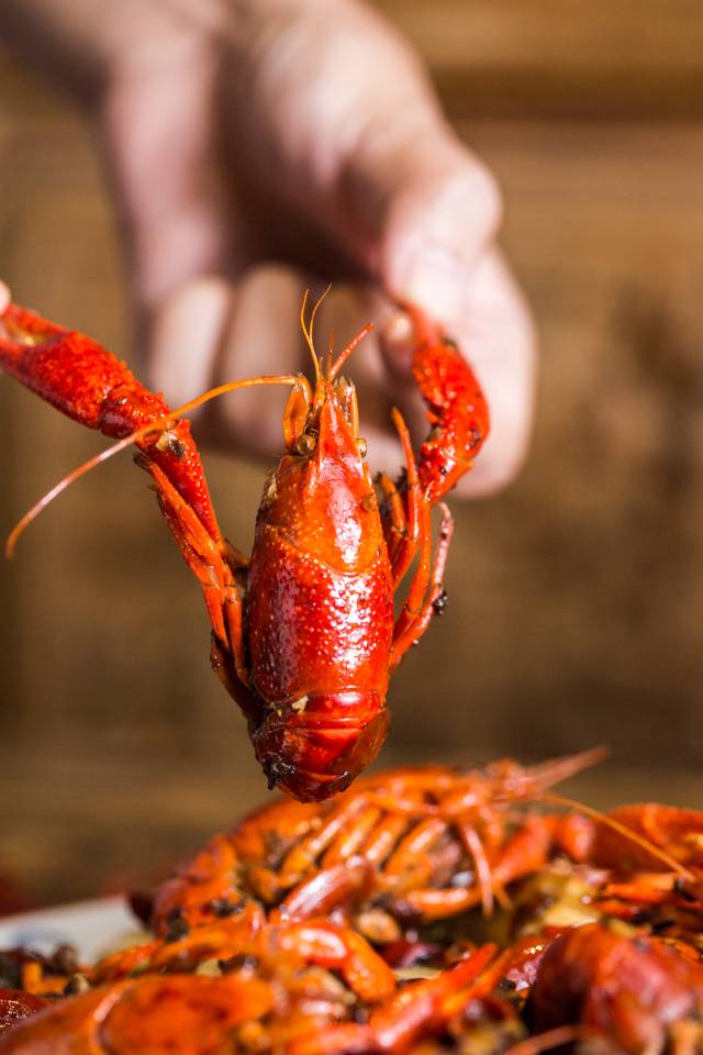 没有“马砂”怎么办？在白堤路这家天津范儿的“吃货大食堂”里，烧烤、火锅、麻小、炒海鲜可以轮番PK到凌晨2点！